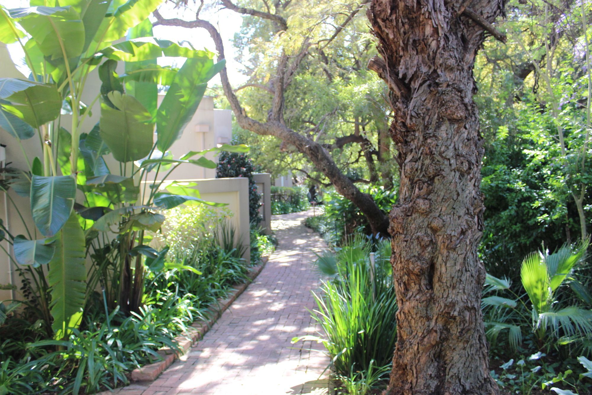 Village Ridge Boutique Stays Pretoria Bagian luar foto